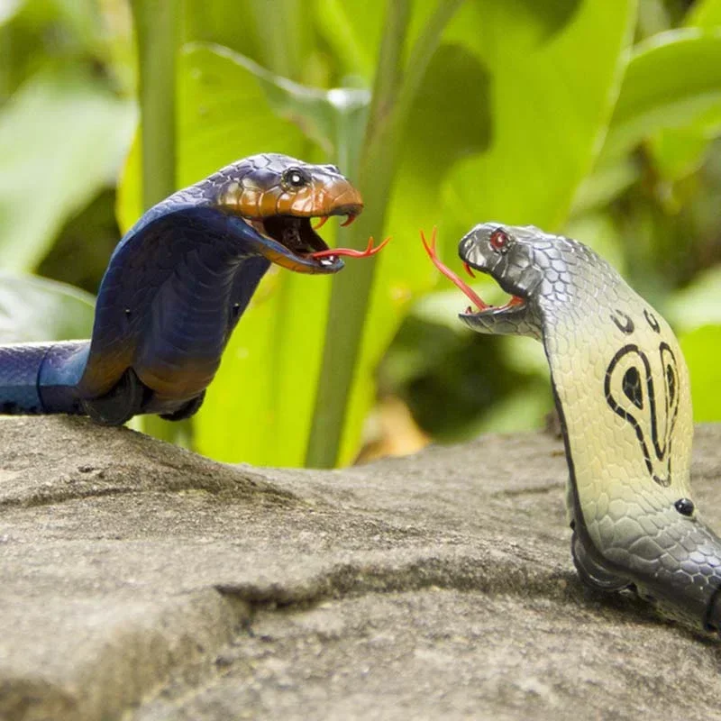 RC Serpente Realistico Serpent - Ir Infrared Receiver recensione e prezzo