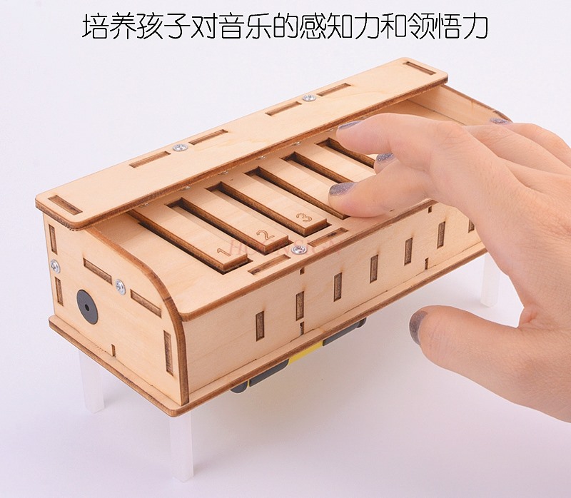 Scienza e tecnologia piccola p - Homemade Diy Electronics recensione e prezzo